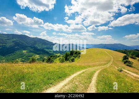 path through the meadow in mountains. sunny summer landscape of carpathian countryside. white fluffy clouds on the blue sky Stock Photo