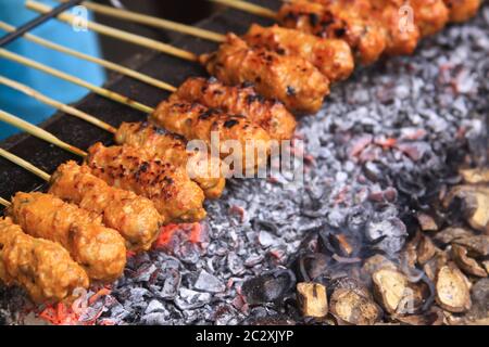 Fresh sate sticks ready to be grilled in Lombok, Indonesian. Goat, chicken, pork and fish meat stuck on a stick on a plate with marinade ready for gri Stock Photo