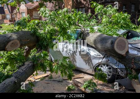 Detroit, Michigan - A car crushed by the remnants of Tropical Storm Cristobal. The storm brought down large trees and caused widespread power outages Stock Photo