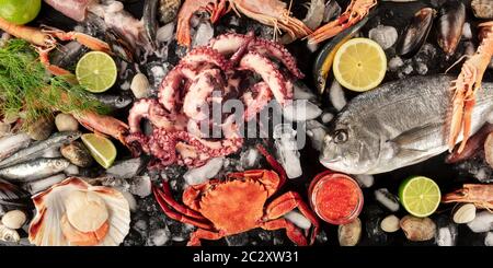 Fish and seafood panorama, a flat lay top shot on a dark background. Fresh sea bream. shrimps, crab, sardines, squid, mussels, o Stock Photo