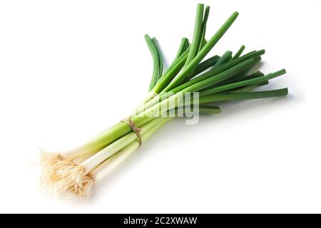 Spring Onions Stock Photo