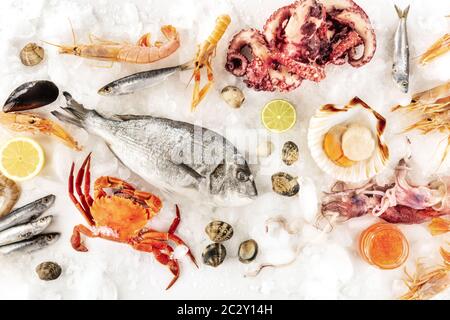 Fish and seafood variety, a flat lay top shot on a white background. Fresh fish, shrimps, crab, squid, mussels and clams, octopu Stock Photo