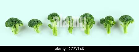 Broccoli, overhead panoramic shot of many florets on a blue background Stock Photo