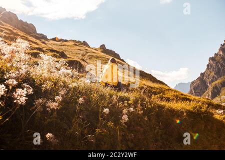 Girl in a Yellow Rain Coat Hiking through a Field of Wild Flowers in the Dolomites during the Golden Hour. Beautiful Northern Italian Alps Stock Photo