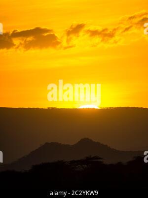 Matit at sunrise, Ngorongoro Conservation Area, Tanzania, Africa Stock Photo