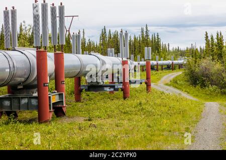 Alyeska Pipeline going through landscape, Glennallen, Alaska, USA Stock Photo