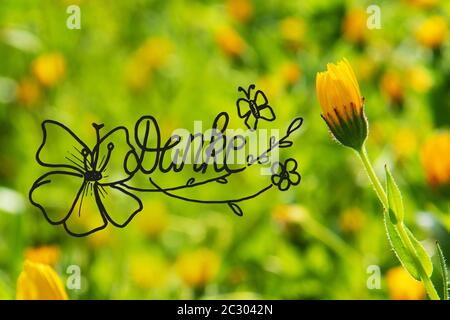 German Calligraphy Danke Means Thank You. Beautiful Scene Of Yellow Spring Flower Meadow In Spring Season. Stock Photo