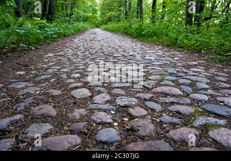 Old unused stone road in the forest Stock Photo