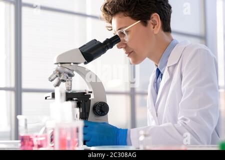 Focused microbiologist in glasses sitting at desk and using microscope for research in laboratory Stock Photo