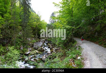 Hike from Rettenbachalm through Rettenbachtal to Blaa Alm, Bad Ischl, Salzkammergut, Upper Austria, Austria Stock Photo