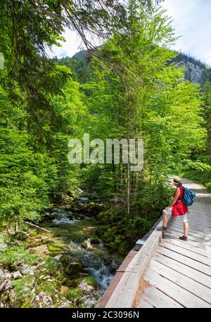 Hike from the Rettenbachalm through the Rettenbachtal to the Blaa Alm, Rettenbach, Bad Ischl, Salzkammergut, Upper Austria, Austria Stock Photo
