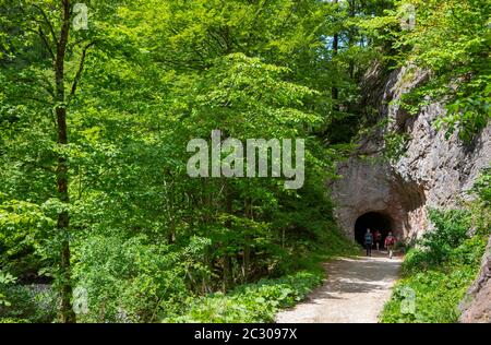 Hike from Rettenbachalm through Rettenbachtal to Blaa Alm, Emperor Franz Josef Solenleitung Tunnel, Bad Ischl, Salzkammergut, Upper Austria, Austria Stock Photo