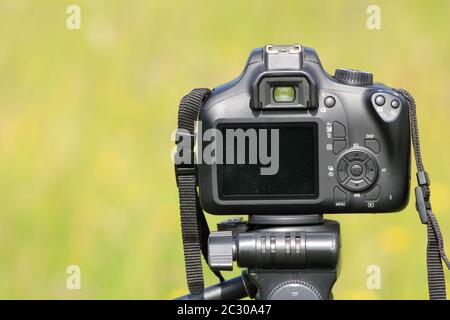 Canon DSLR Camera on a Tripod on Green Bokeh Background Stock Photo