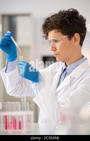 Concentrated young microbiologist in lab coat using pipette while dropping reagent into test tube Stock Photo