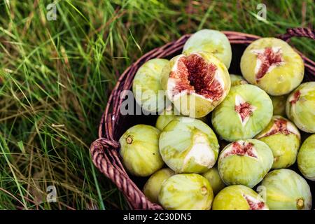 close up fresh green figs with green leaves in a wicker basket Stock Photo