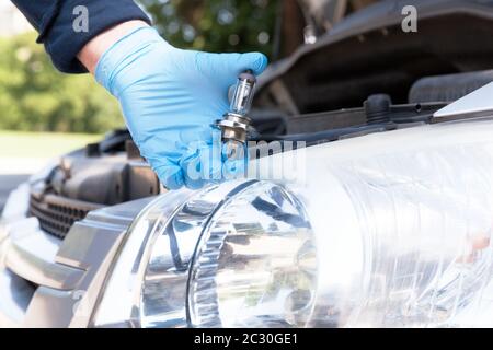 Changing halogen bulb in car headlight Stock Photo - Alamy