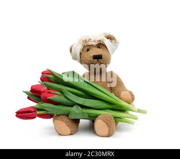 vintage cute brown teddy bear holds in his paw a red tulips, festive birthday backdrop, Valentine's day, anniversary. Toy isolated on a white backgrou Stock Photo