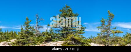 Landscape with trees and rock formations, Schoodic Peninsula, Acadia National Park, Maine, USA Stock Photo