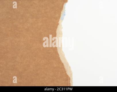 torn edges of corrugated cardboard paper with white background, abstract backdrop template Stock Photo