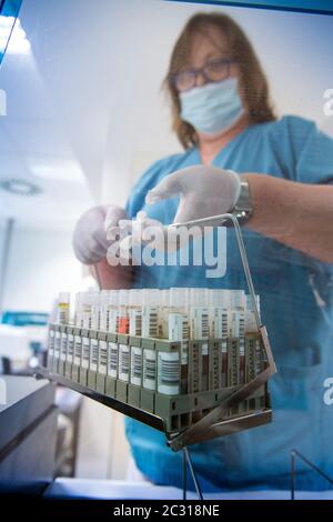 Potsdam, Germany. 02nd June, 2020. Gabriela Schwan, Medical Technical Laboratory Assistant (MTLA) at Ernst von Bergmann Hospital, places a basket of sample tubes in the Cobas 8000 modular analyzer behind a blue-tinted plastic cover. Among other things, the device enables an automated process for the detection of SARS-CoV-2 antibodies. The hospital could analyse up to 470 corona tests per day. Credit: Soeren Stache/dpa-Zentralbild/ZB/dpa/Alamy Live News Stock Photo