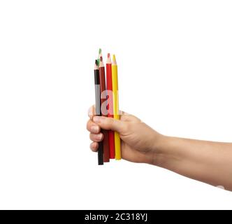 female hand holds multi-colored wooden pencils, subject is isolated on a white background Stock Photo