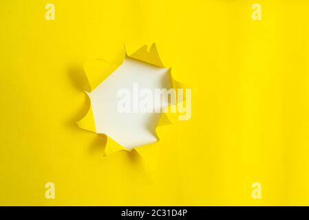 Rolled Ripped Torn Cardboard Placed Above A Wooden Classic Table Backdrop Stock Photo