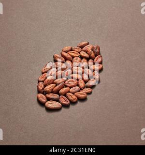 Cocoa seeds in the shape of big cocoa bean. Stock Photo