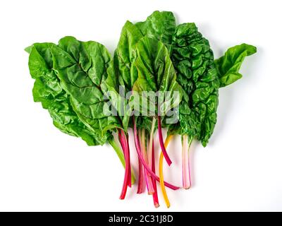 swiss rainbow chard isolated on white Stock Photo