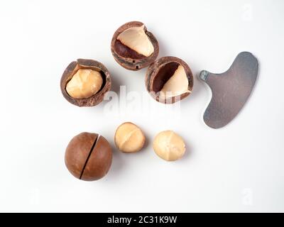 Set macadamia nuts isolated Stock Photo