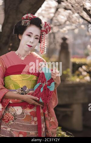 Maiko in kimono posing in front of a cherry blossom near a bridge of the kennin temple in Kyôto. Stock Photo