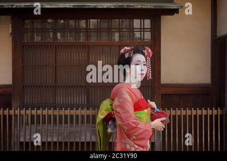 Maiko in a kimono walking in front of the gate of a traditional Japanese house in Kyoto.