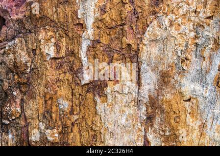 Old Rusted Texture Gray Cracked Stone Texture with Orange Veins. Gray natural stone ...