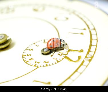 Ladybug on an old clock surface., image Stock Photo