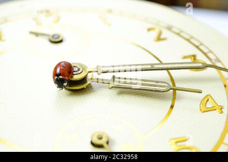 Ladybug on an old clock surface., time concept Stock Photo