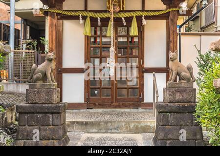 Two statues of foxes inari, deity of rice in the Shinto shrine of Mejiro Toyosaka Inari Jinja in Tokyo. Stock Photo