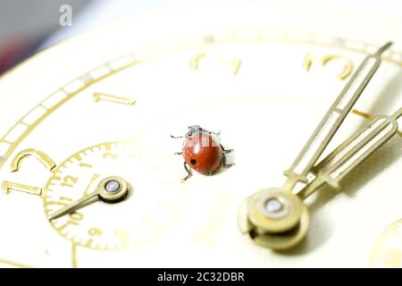 Ladybug on an old clock surface., time concept Stock Photo