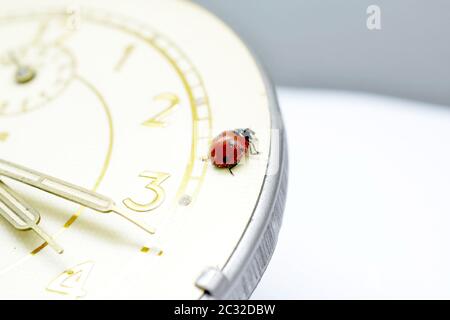 Ladybug on an old clock surface., image Stock Photo