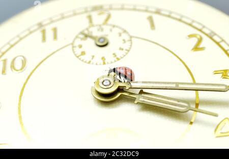 Ladybug on an old clock surface., image Stock Photo