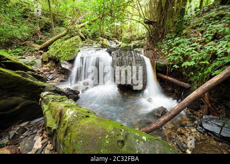 Etched rock in a small falls along Juan Diego stream in El Yunque rainforest, Puerto Rico. Stock Photo
