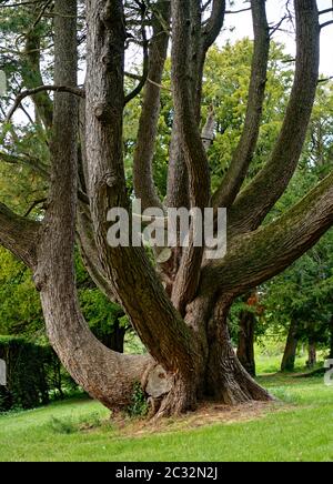 Killruddery House And Gardens, Bray, Co Wicklow, Ireland Stock Photo