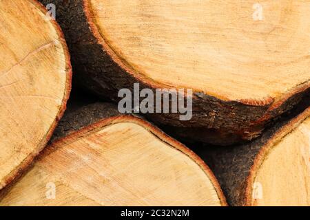 White Seringa Tree Wood Stack Close-up (Kirkia acuminata) Stock Photo