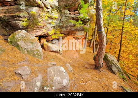 Altschlossfelsen rock in Dahn Rockland in autumn, Germany Stock Photo