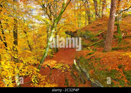 Altschlossfelsen rock in Dahn Rockland in autumn, Germany Stock Photo