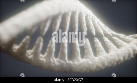DNA molecule on the grey background Stock Photo