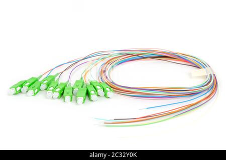green fiber optic SC connectors fan out isolated on white background Stock Photo
