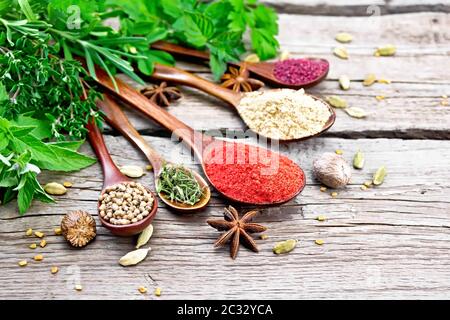 Hot pepper, ginger, coriander, dried thyme and sumac in spoons, nutmeg, cardamom, star anise and fenugreek, rosemary, parsley, thyme, mint and savory Stock Photo