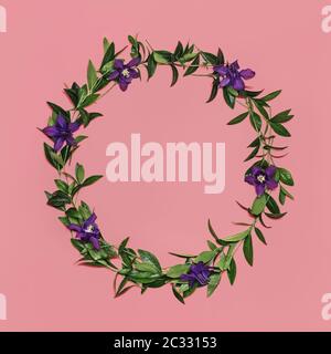 Beautiful and tender wreath frame of fresh leaves and violet flowers on pink background. Flat lay style. Square crop. Copy space. Stock Photo