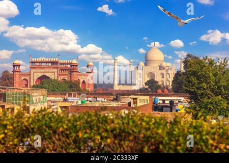 Taj Mahal Complex, view from Agra roof, India. Stock Photo