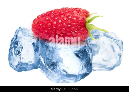 Crushed Ice Raspberry Giant raspberry freezing on roughly crushed ice Stock Photo - Alamy
