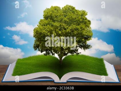 Open book in paper recycling concept - 3d rendering Stock Photo